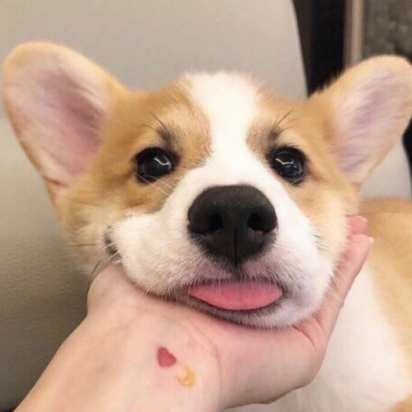 一杯维C