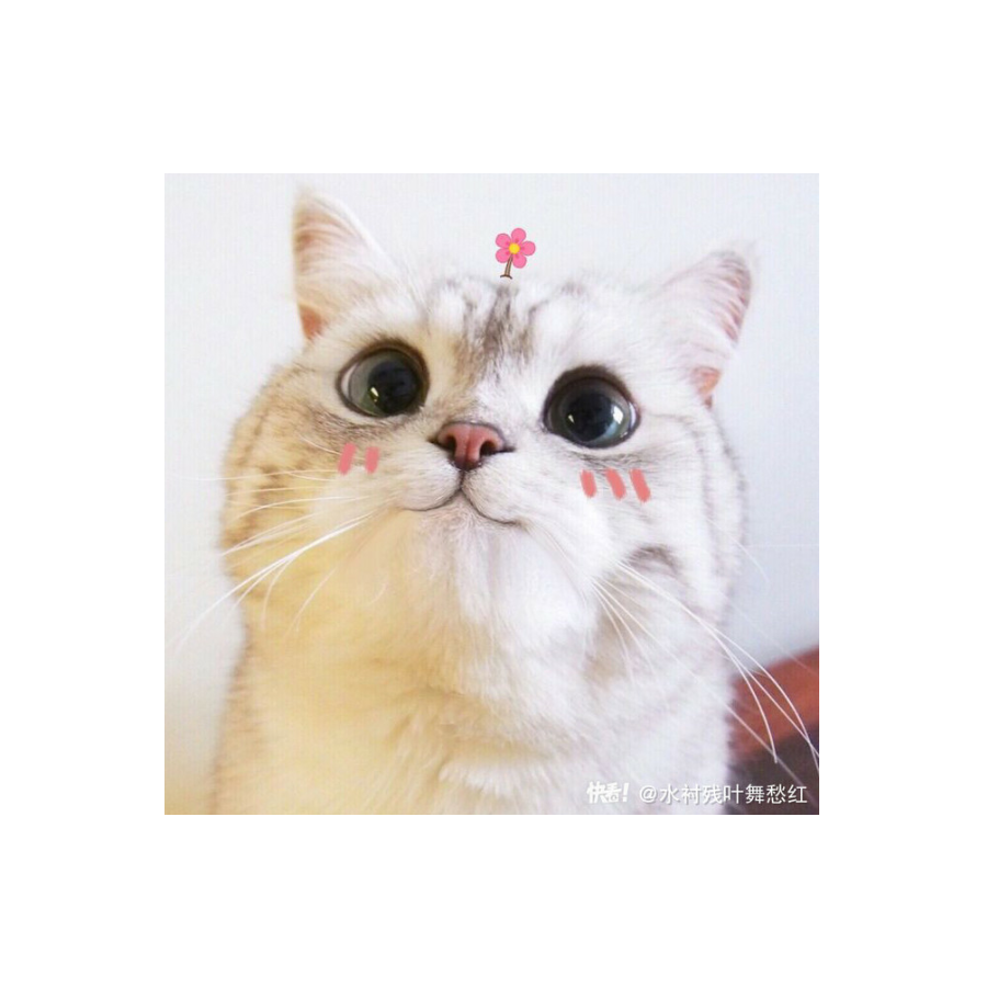 灰汀