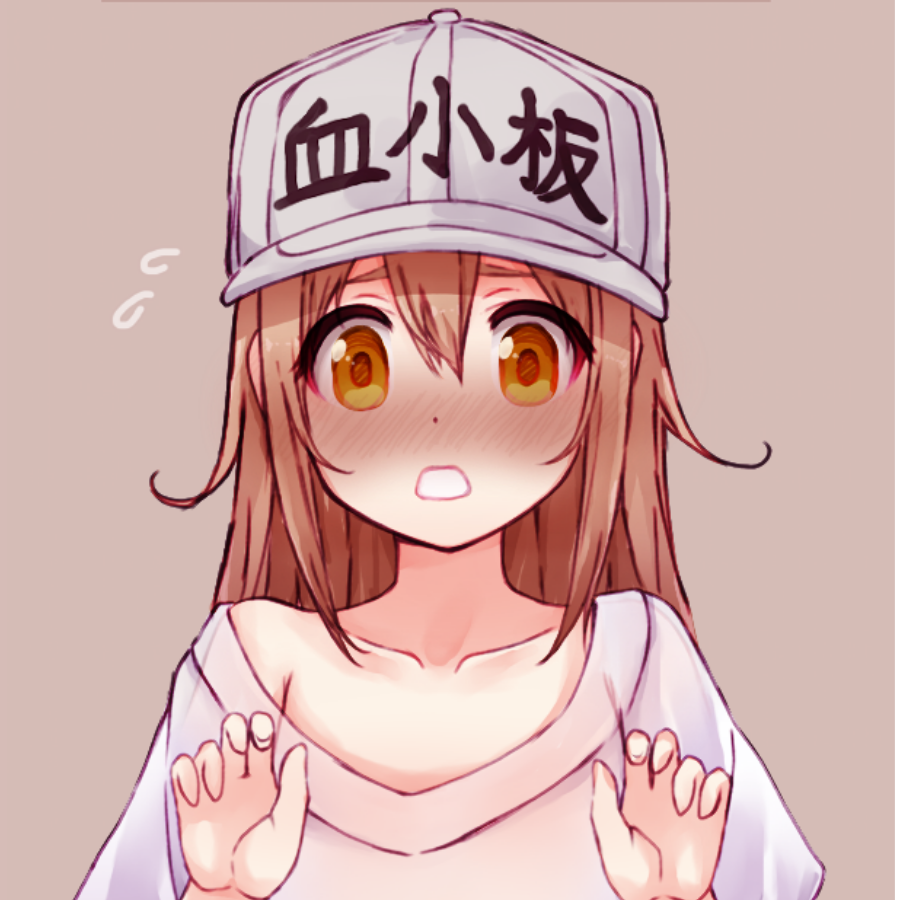 飞羽彼岸，荣誉不败