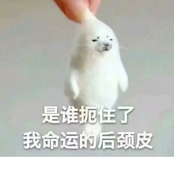 吱嘎