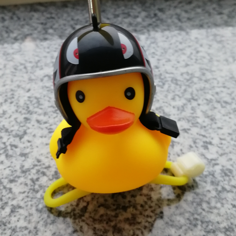徐安白