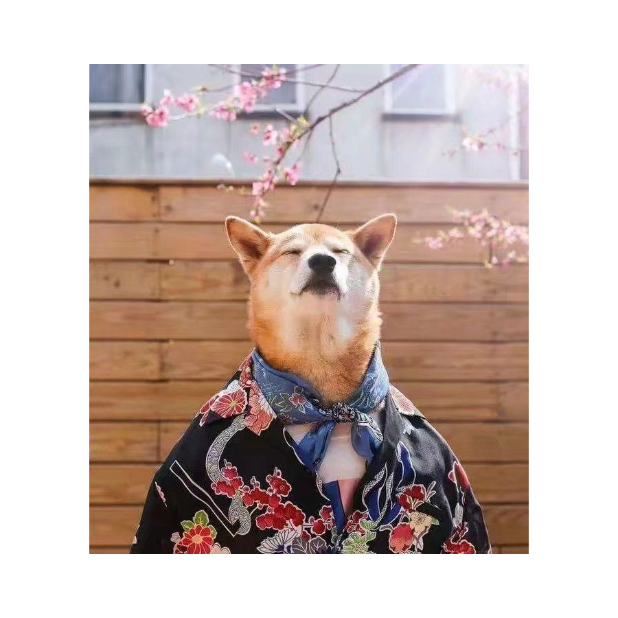 明年三年级喽