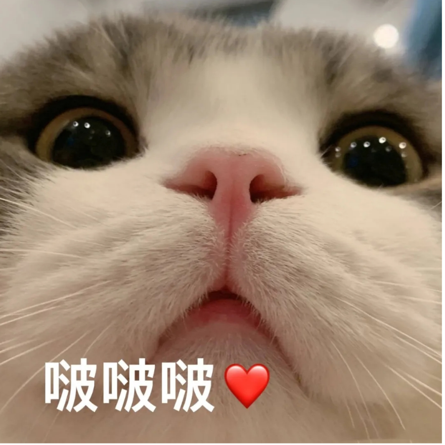 晚安老铁
