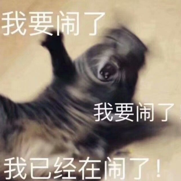 伊洛