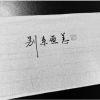 “林木芬芳森灬