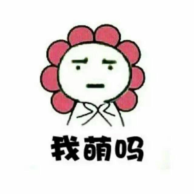 哦