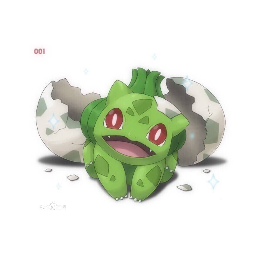 辉叶