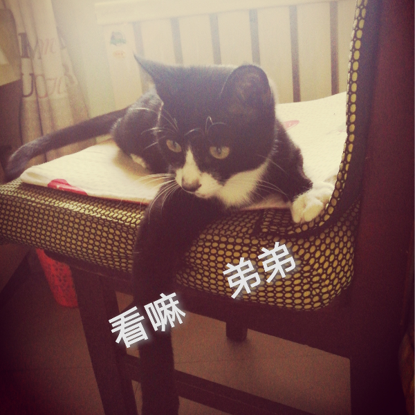 橘子加酸梅汤