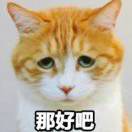 QWQ