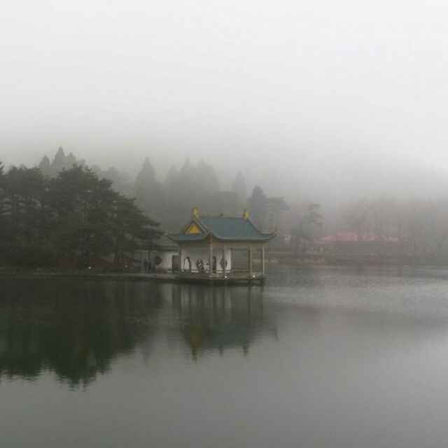 扉。