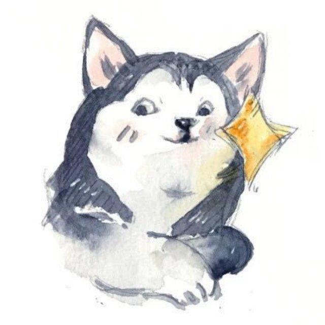 钱钱