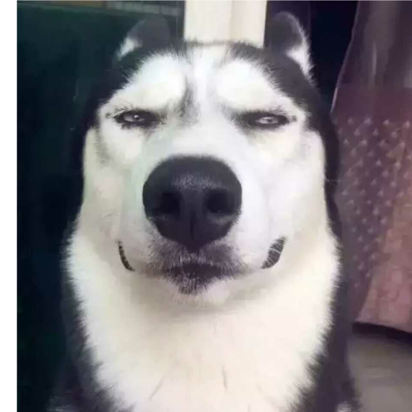 狗头人法师