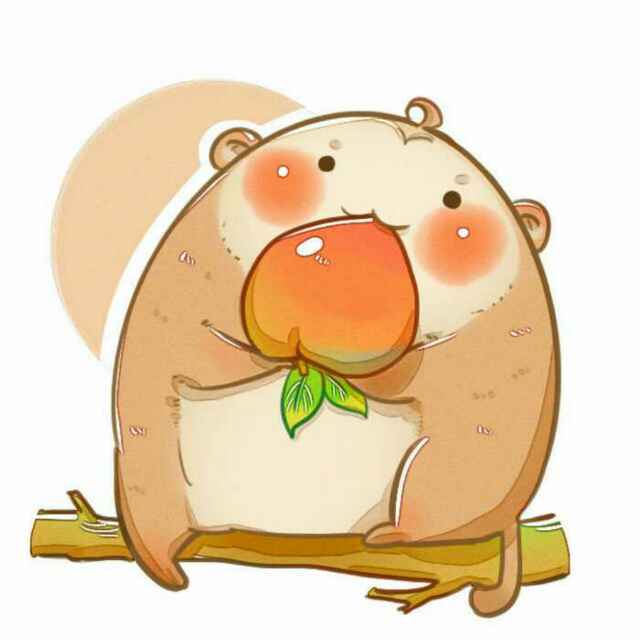 丸(๑òᆺó๑)子