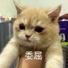天