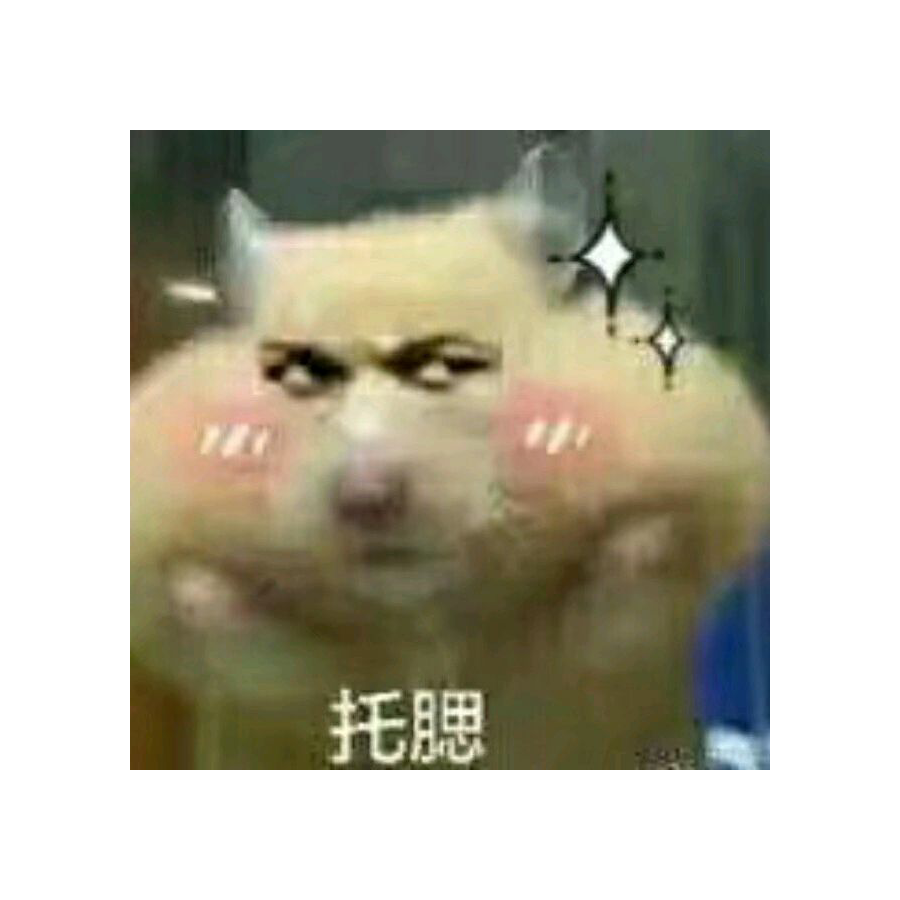 随意