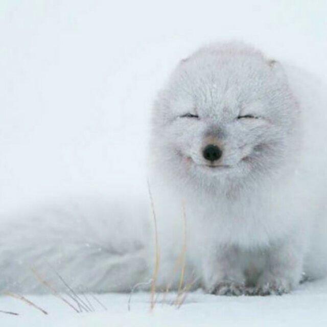 李宾