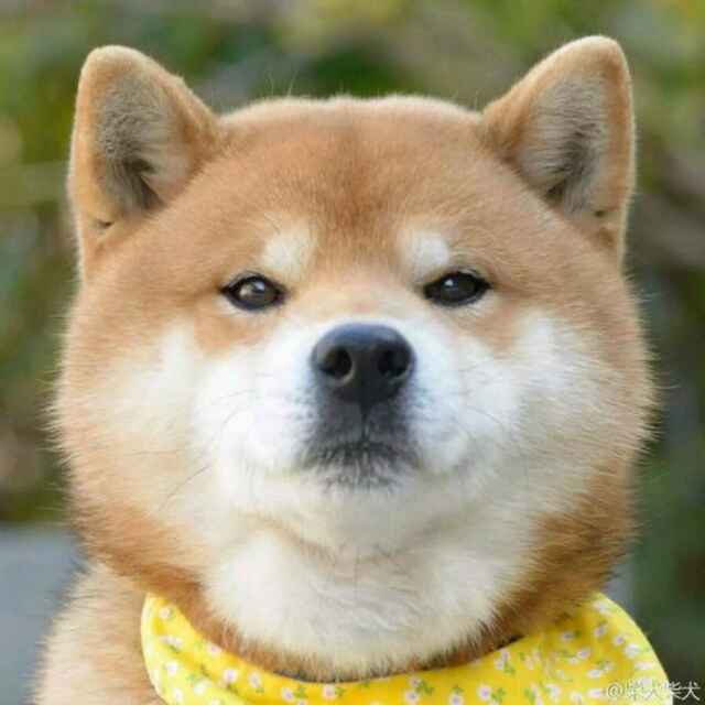 瓷茶杯