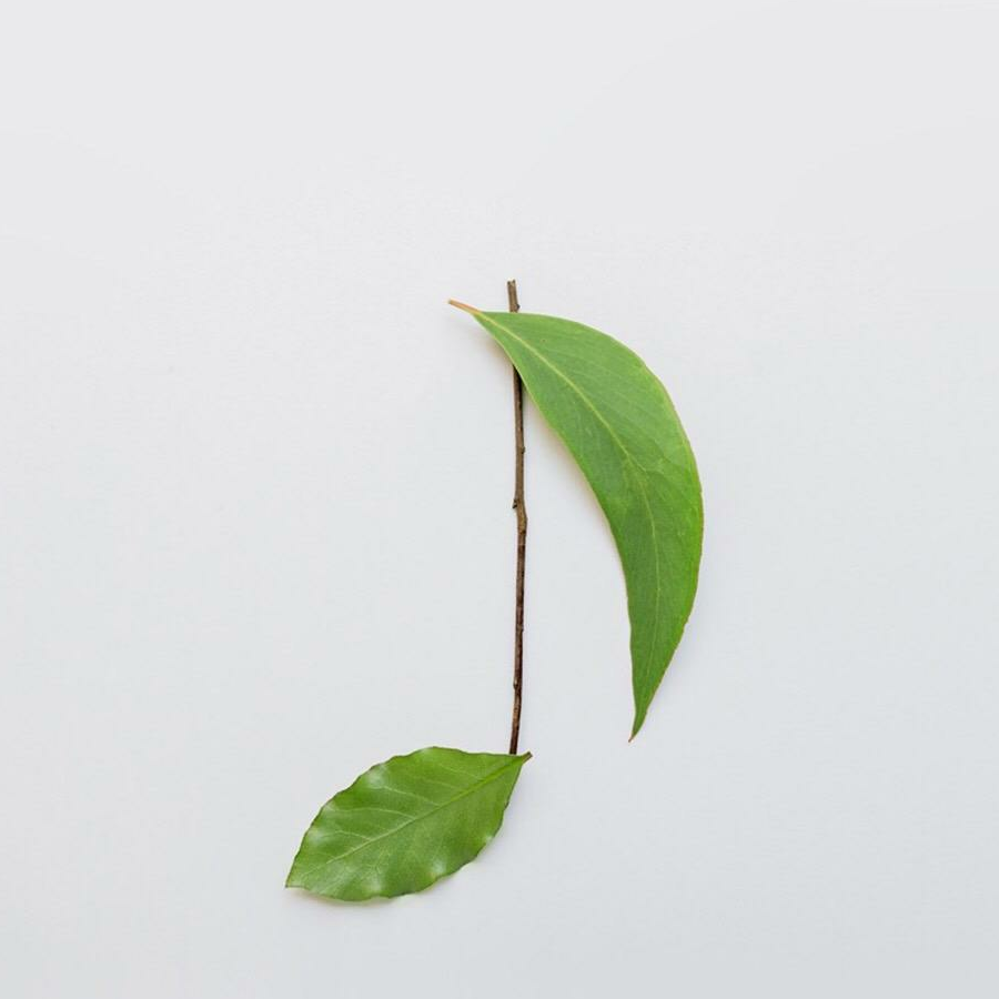 木丶月