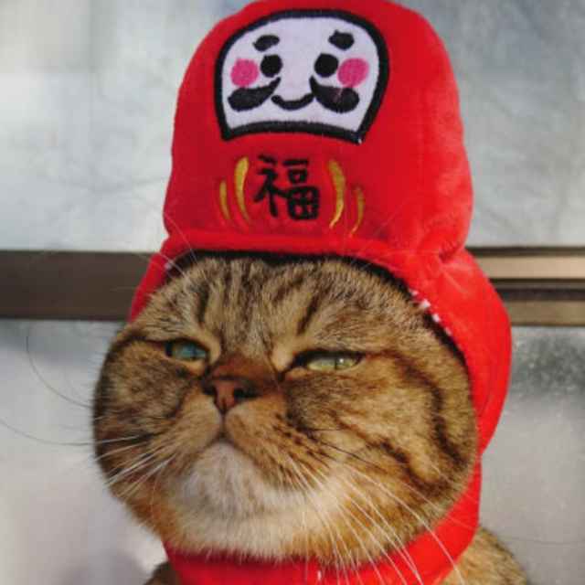 福福福福福福福福福福福福福福福