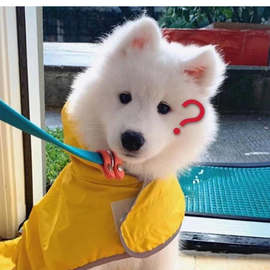 半生