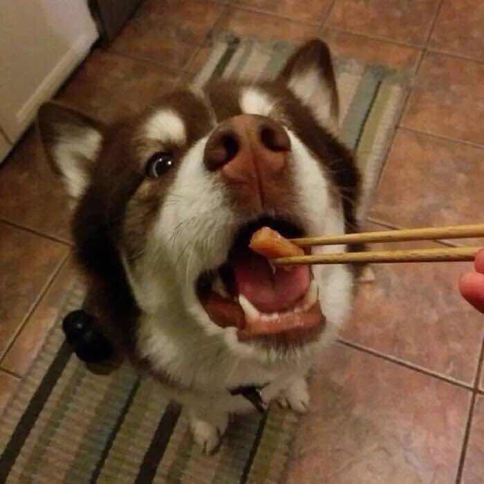 库里的三分怎么那么准