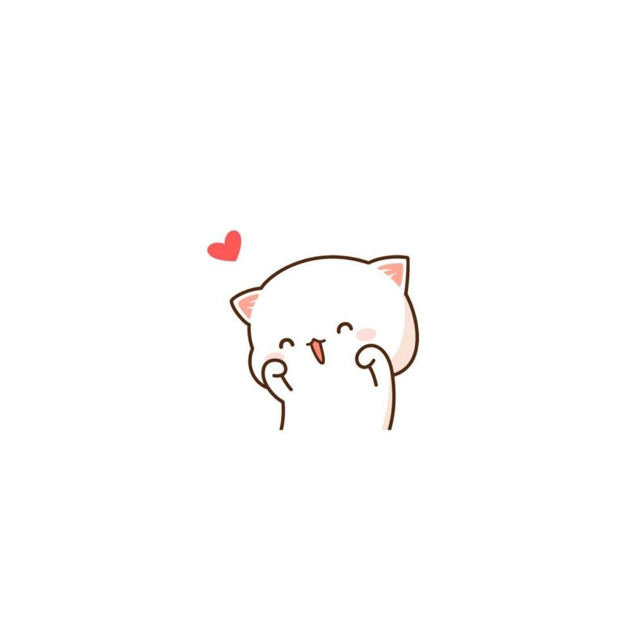 一只轩轩🐾