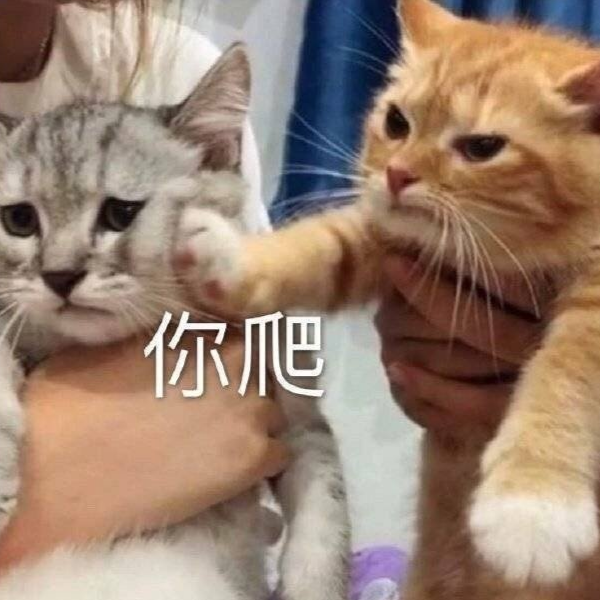 动动