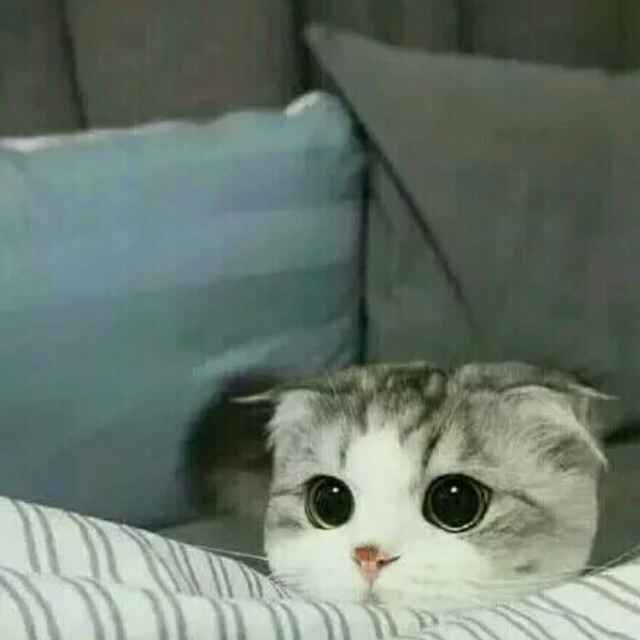 v丶