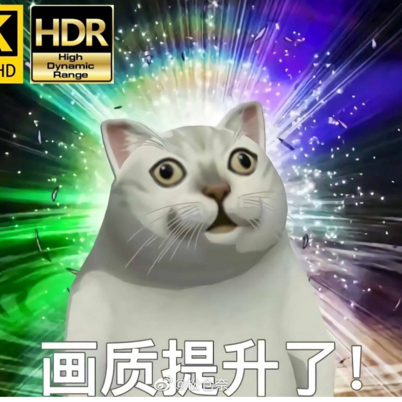 博