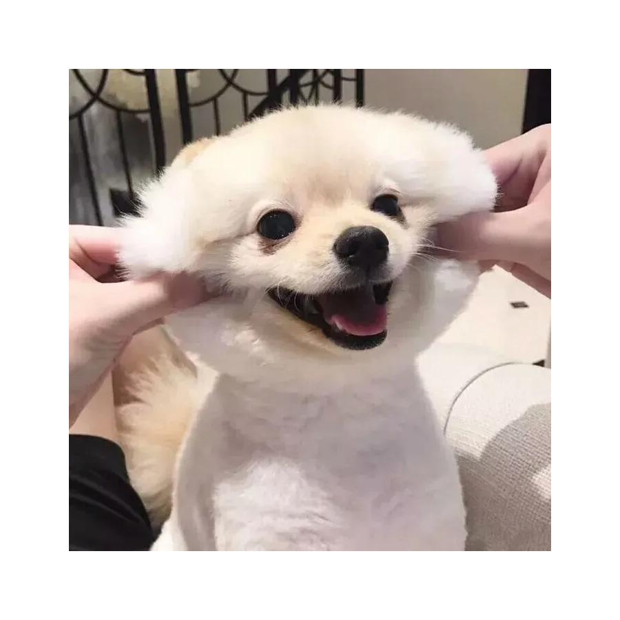 墨韵