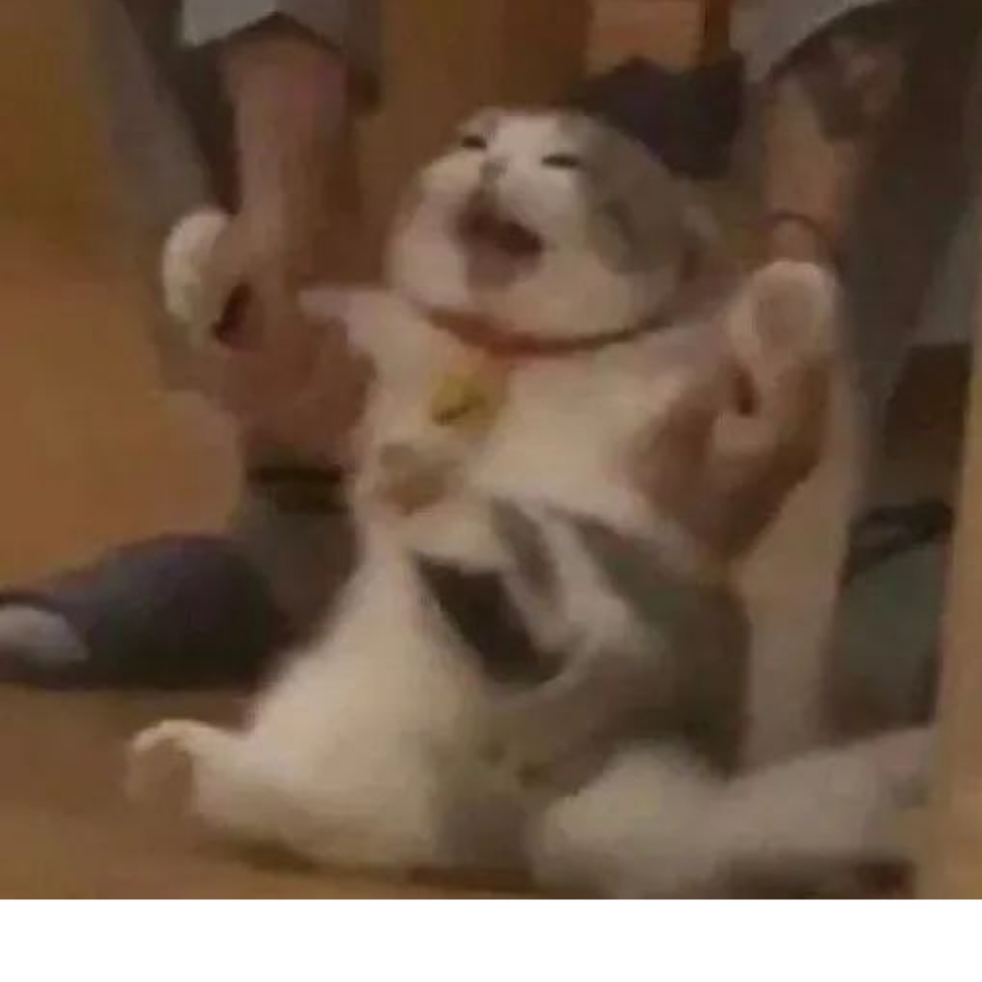 神明