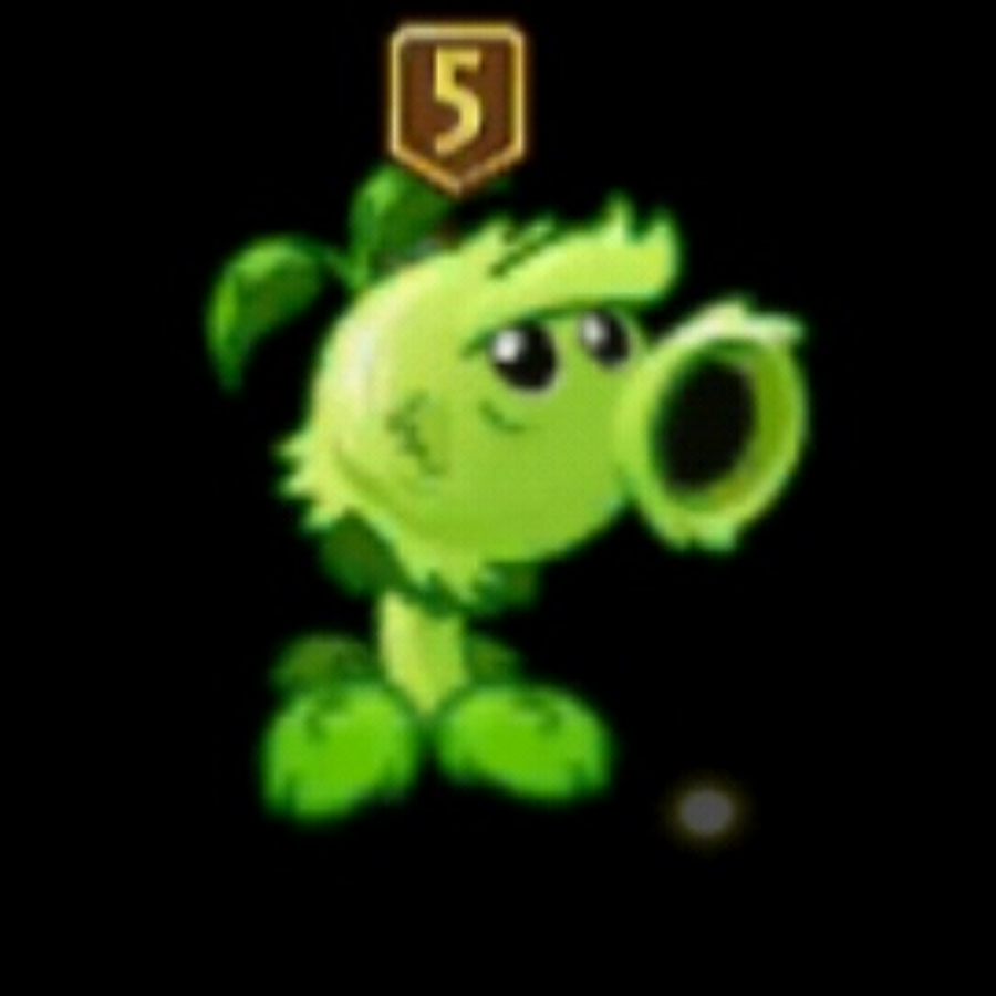 爱玩PVZ的宁同学