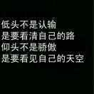 逗逗鲨