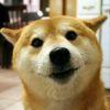 额