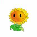 🌞 🌞 🌞 🌞 🌞 🌞