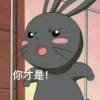 红领巾