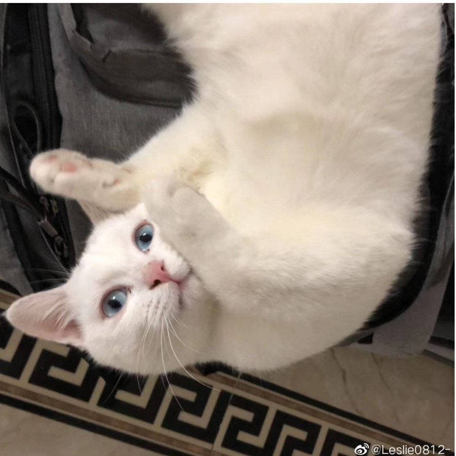 😺