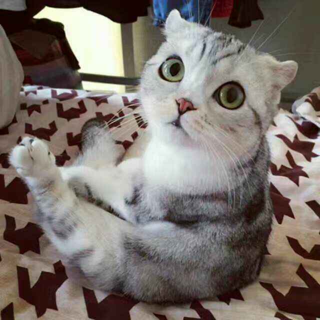咕隆