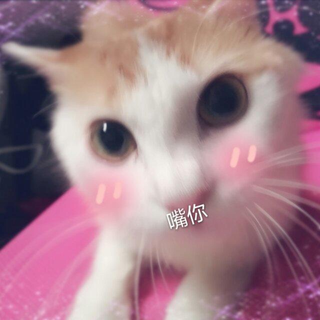 HAN