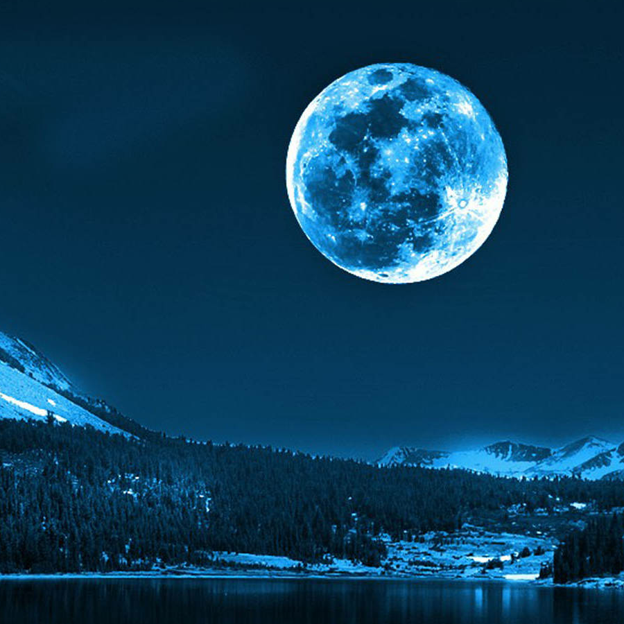 梦里不知身是客