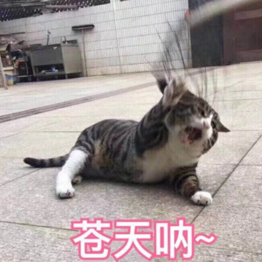 墨邪儿