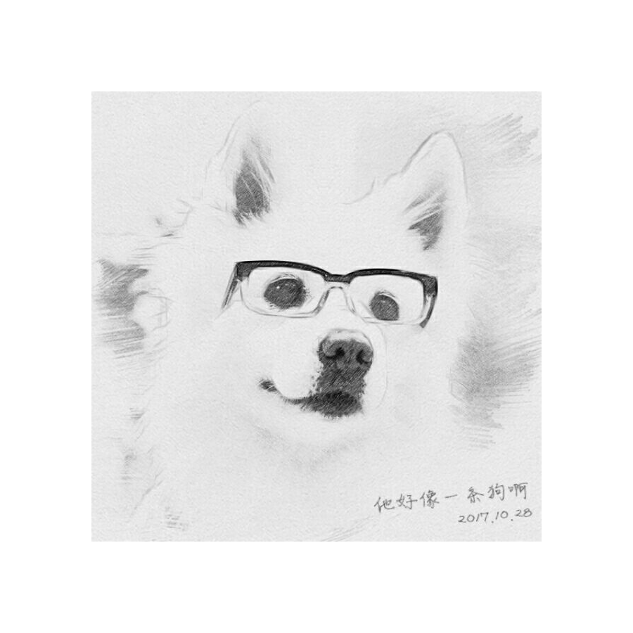 十一