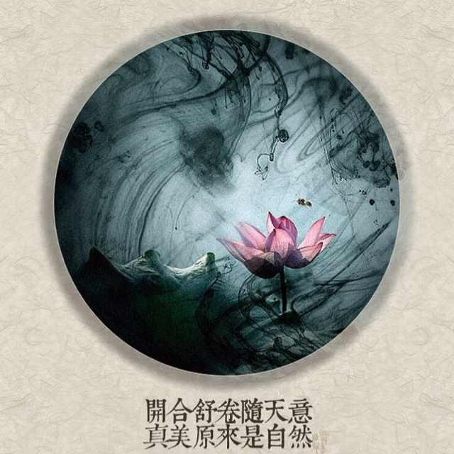 第四组