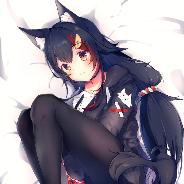 猫籽柒