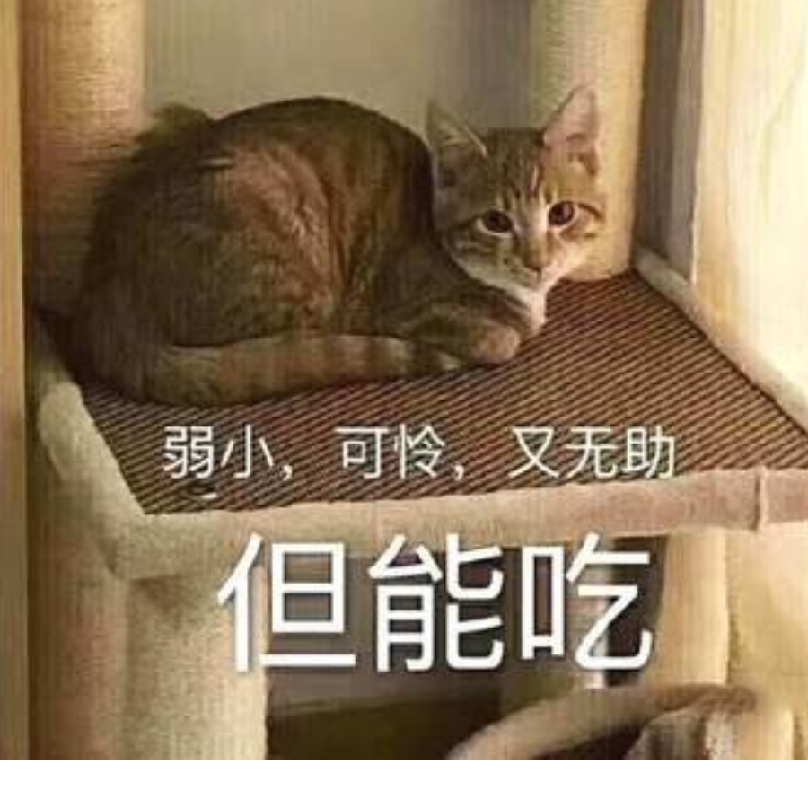 丧shi