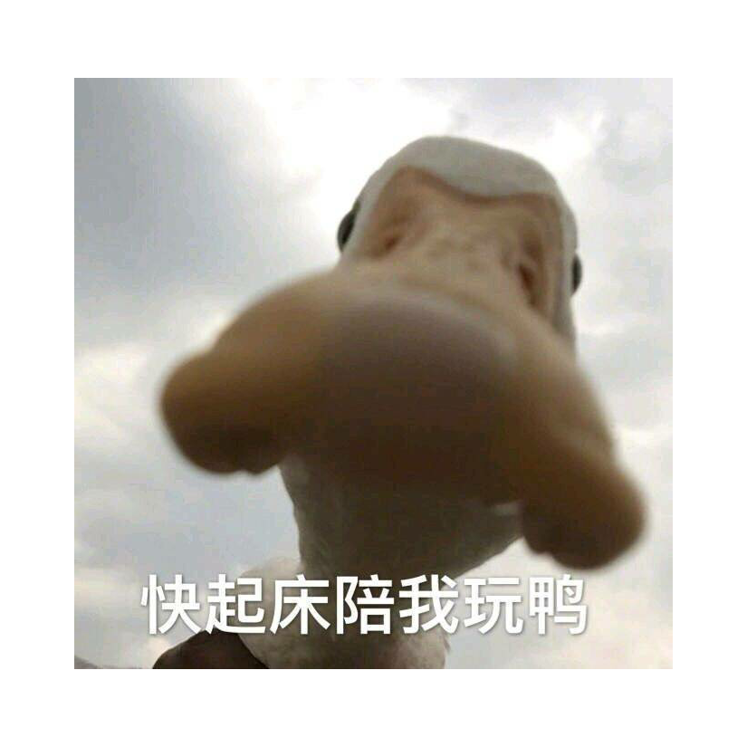 曙鵺