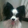 User16688016