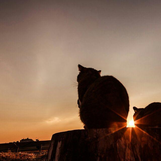 Kitdoor