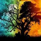 千世转，踏灵山