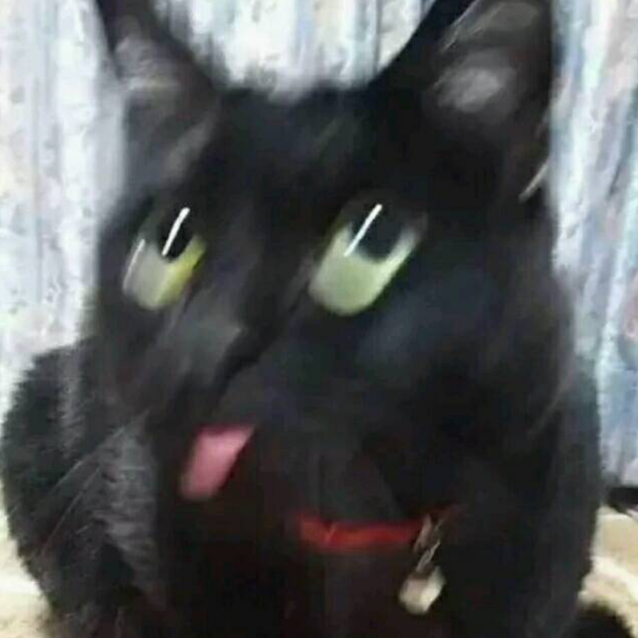 你快爬远一点